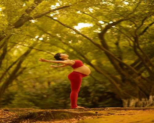 供卵代生成功率高排名囊胚移植4天