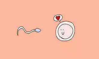 已生男宝，分享惊喜！生男孩特征🤔,国内供卵生子机构&国内的供卵机构都是哪里的女孩