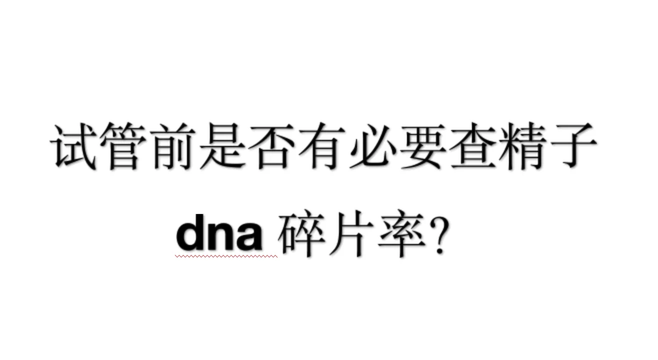 试管前是否有必要进行精子dna碎片检查？,国内代怀怎么联系-国内试管包生儿子